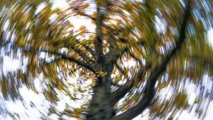 بیماری منییر